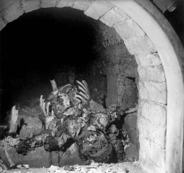 nazi-camp6_1453985506-750